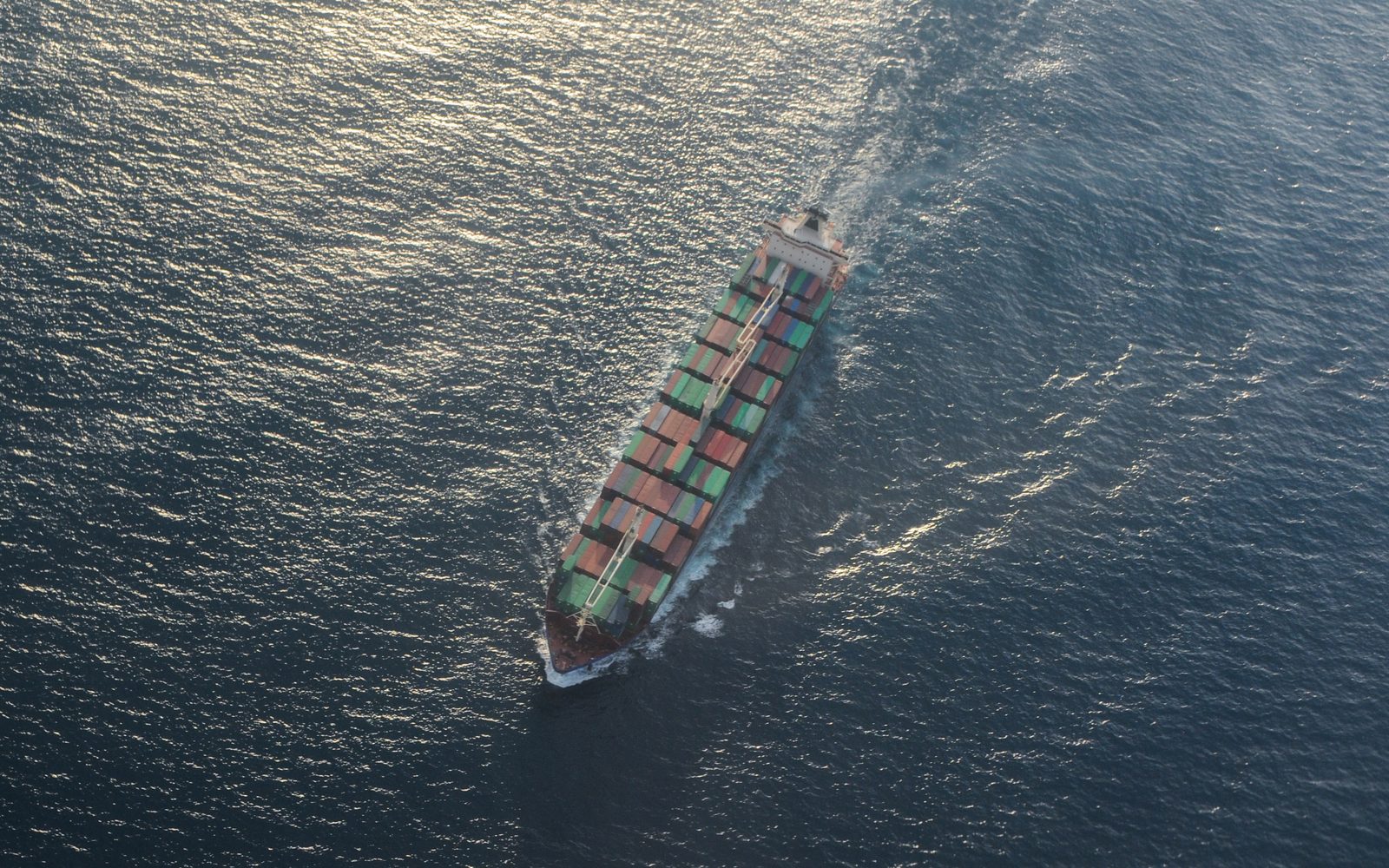Export & Logistics — moisture protection