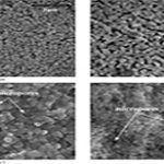 Silica Gel Impregnated With Silver Nitrate
